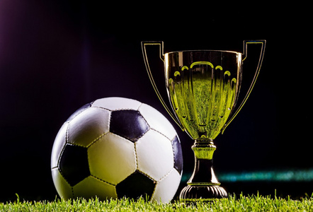 美国职业大 美国职业大