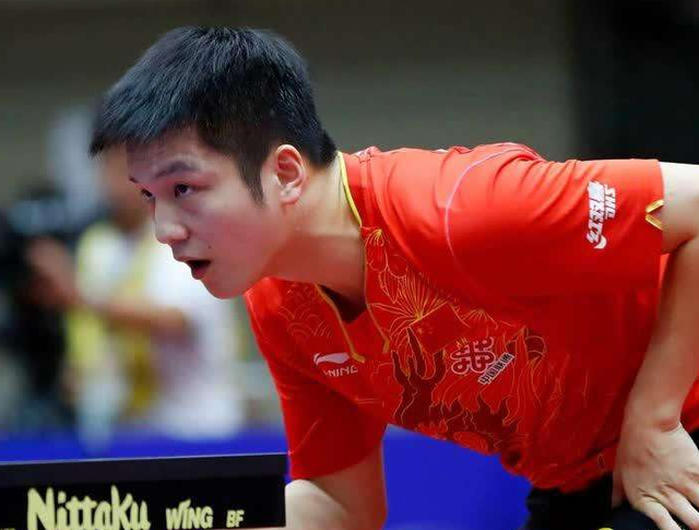 电子指引 电子指引